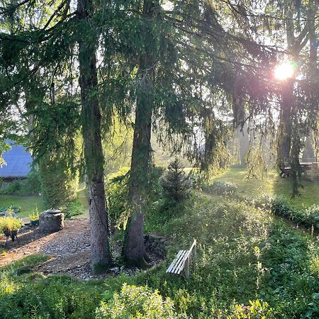 Liebevoll Eingerichtetes Ferienhaus Mit Grossem Garten Clausthal-Zellerfeld Luaran gambar