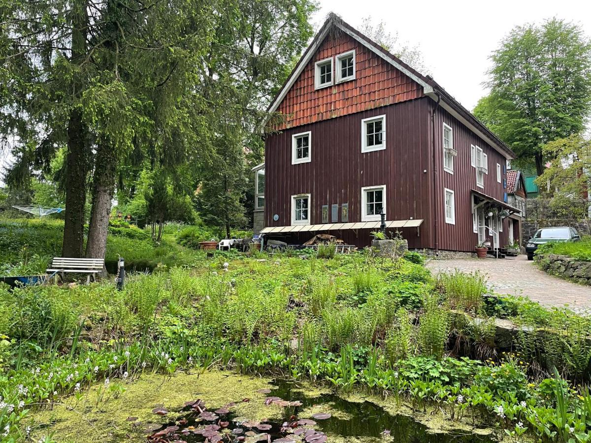 Liebevoll Eingerichtetes Ferienhaus Mit Grossem Garten Clausthal-Zellerfeld Luaran gambar