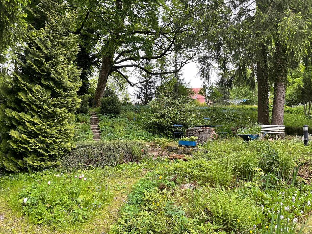 Liebevoll Eingerichtetes Ferienhaus Mit Grossem Garten Clausthal-Zellerfeld Luaran gambar