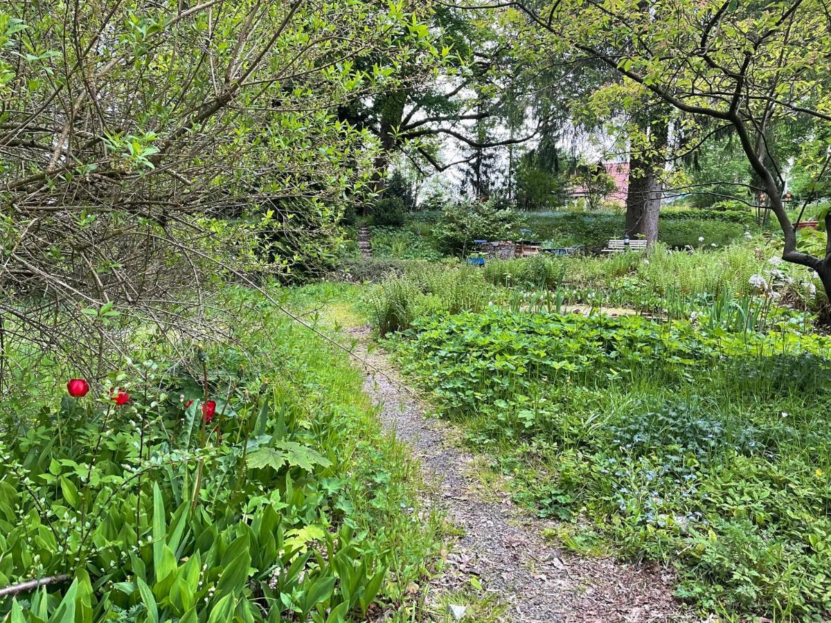 Liebevoll Eingerichtetes Ferienhaus Mit Grossem Garten Clausthal-Zellerfeld Luaran gambar